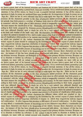 8267 PİRİNÇ DEKUPAJ KAĞIDI (Rice Paper) - 1