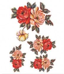 Rich Kolay Transfer 23x34 (Açık Zemin) 6614 - 2