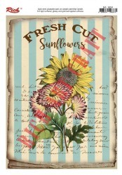 Rich Kolay Transfer 23x34 (Açık Zemin) 6834 - 2